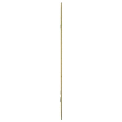 Specchio da Parete Dorato 80x50 cm