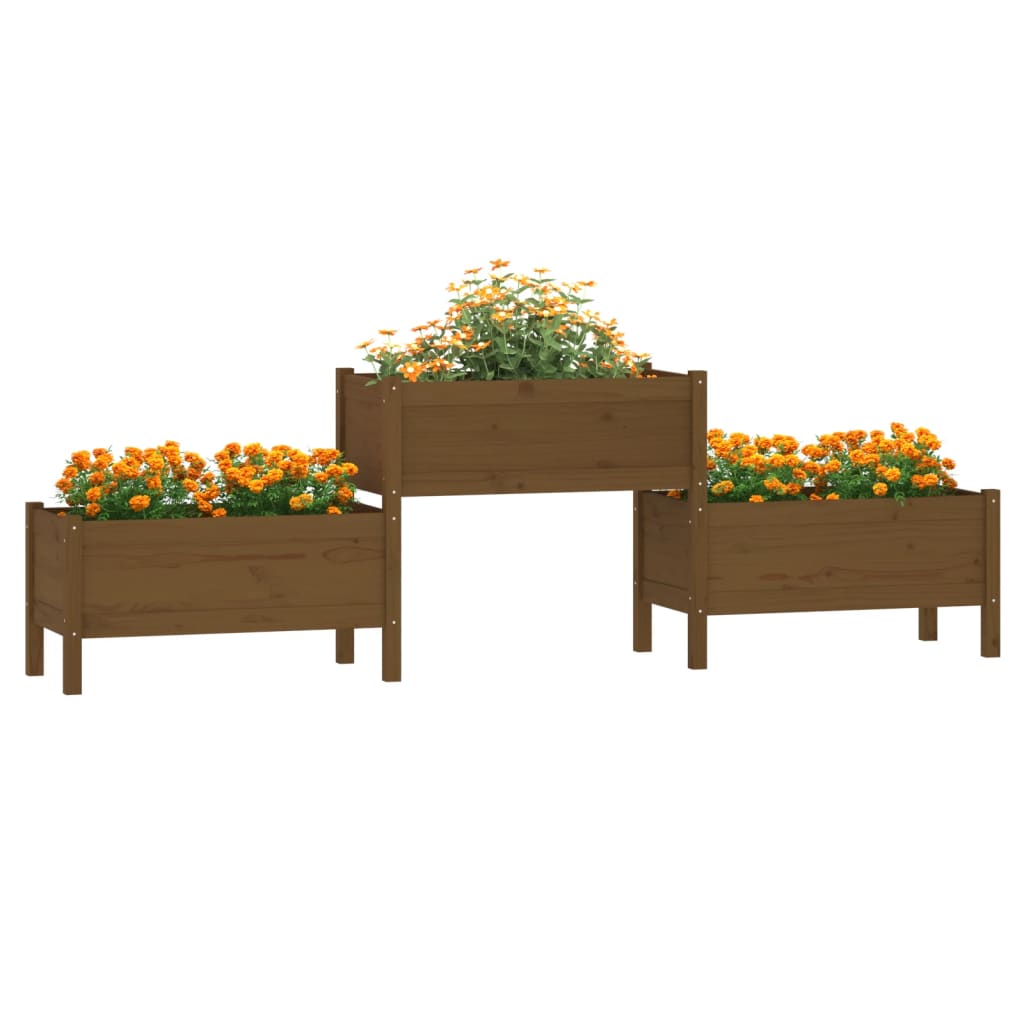 Fioriera Marrone Ambra 245,5x44x75 cm in Legno Massello di Pino