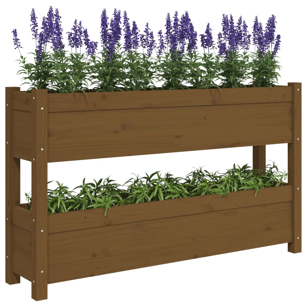 Fioriera Marrone Ambra 112x25x66 cm in Legno Massello di Pino