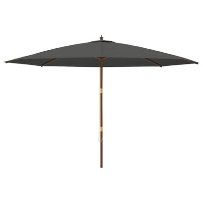 Ombrellone da Giardino con Palo in Legno Antracite 400x273 cm