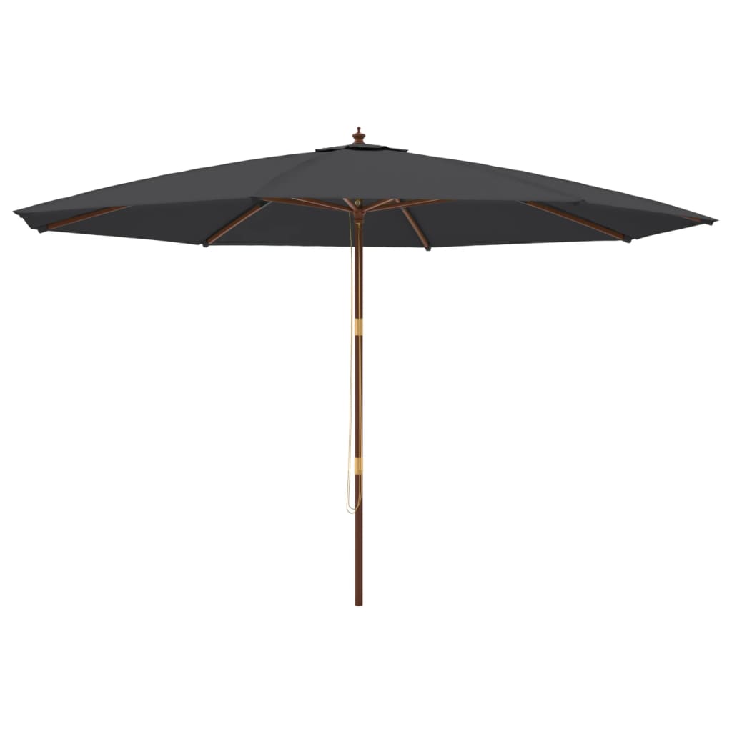 Ombrellone da Giardino con Palo in Legno Nero 400x273 cm