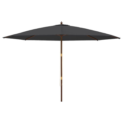Ombrellone da Giardino con Palo in Legno Nero 400x273 cm