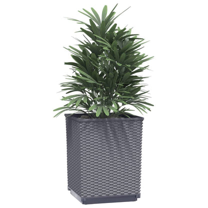 Fioriere 4 pz Grigio Blu 30x30x37 cm in Polipropilene