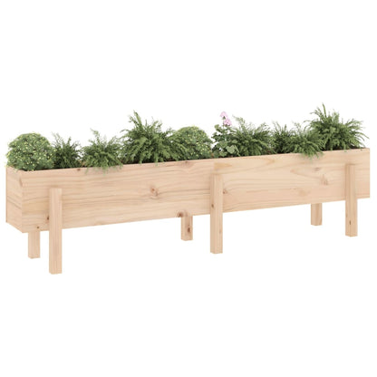 Fioriera Rialzata da Giardino 160x30x38 cm Legno Massello Pino