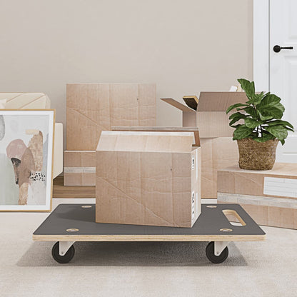 Pedane di Trasporto 2 pz Rettangolari 80x55x11,5 cm 250 kg