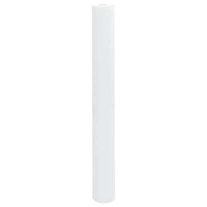 Copertura per Piante 2 Rotoli 70 g/mÂ² 10x1,6 m