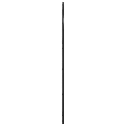 Specchio da Parete Nero 100x150 cm Arco in Ferro