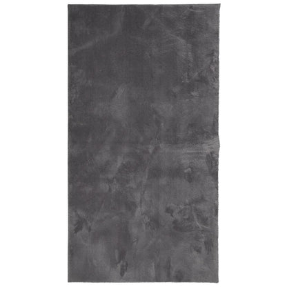 Tappeto a Pelo Corto HUARTE Morbido Lavabile Antracite 80x150cm