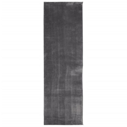 Tappeto a Pelo Corto HUARTE Morbido Lavabile Antracite 80x250cm