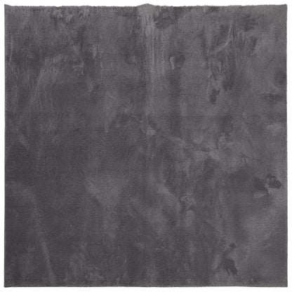 Tappeto Pelo Corto HUARTE Morbido Lavabile Antracite 160x160 cm