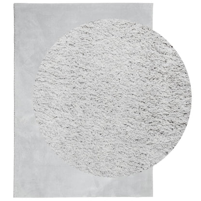 Tappeto a Pelo Corto HUARTE Morbido e Lavabile Grigio 120x170cm
