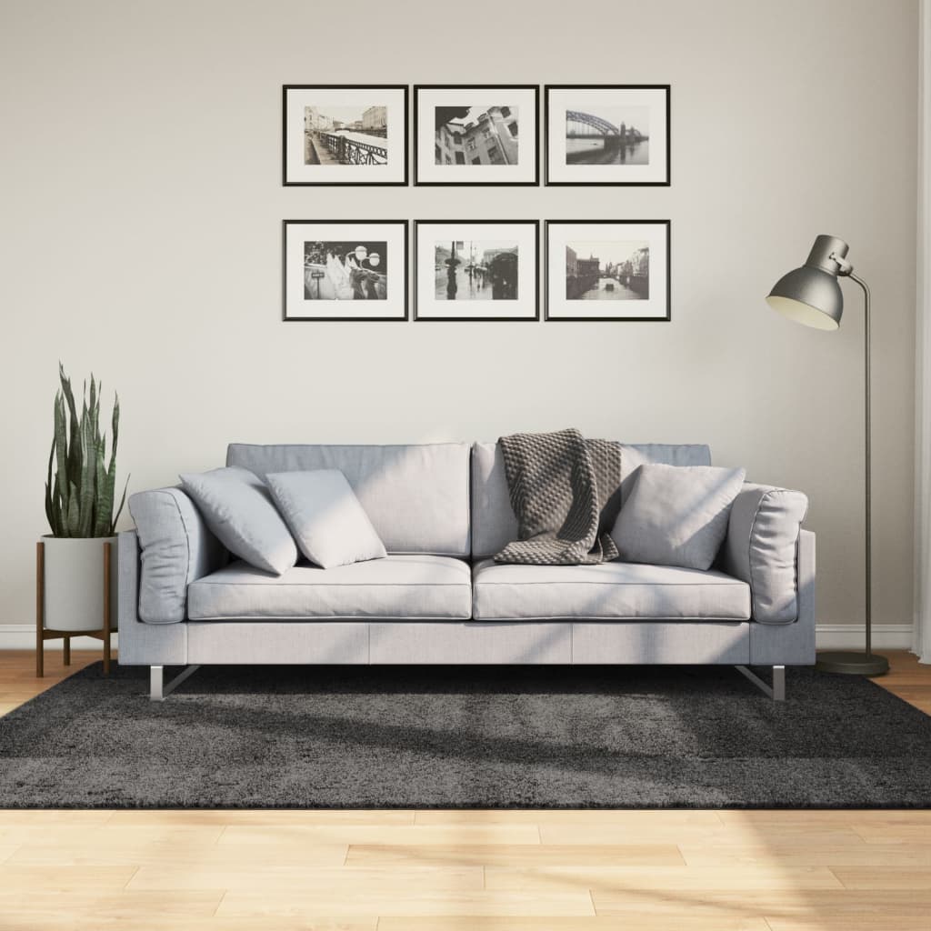 Tappeto Shaggy PAMPLONA Pelo Lungo Moderno Antracite 140x200cm