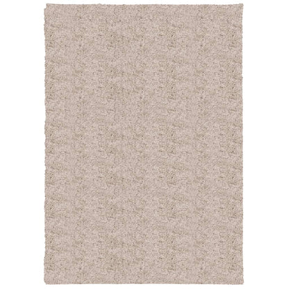 Tappeto Shaggy PAMPLONA a Pelo Lungo Moderno Beige 120x170 cm