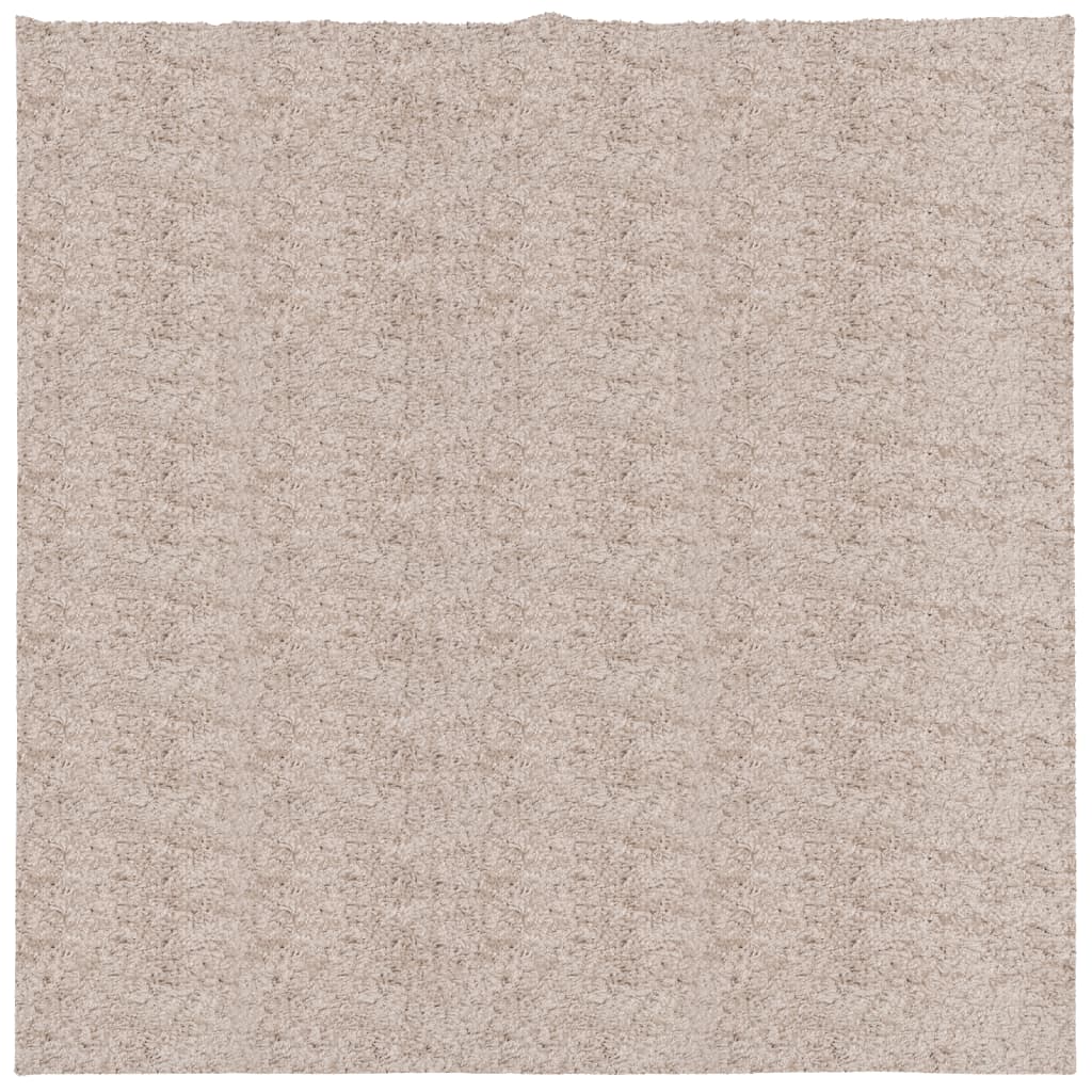 Tappeto Shaggy PAMPLONA a Pelo Lungo Moderno Beige 160x160 cm