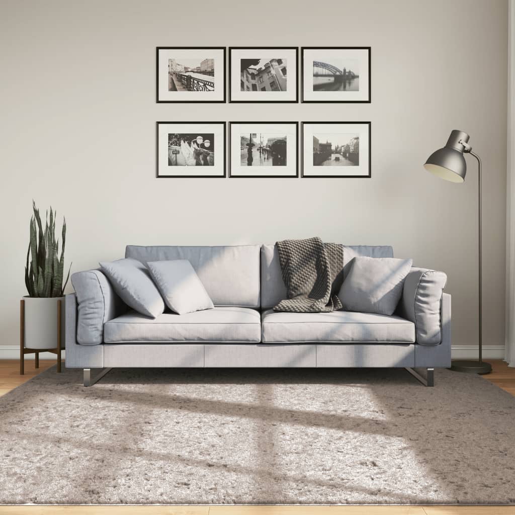 Tappeto Shaggy PAMPLONA a Pelo Lungo Moderno Beige 200x200 cm