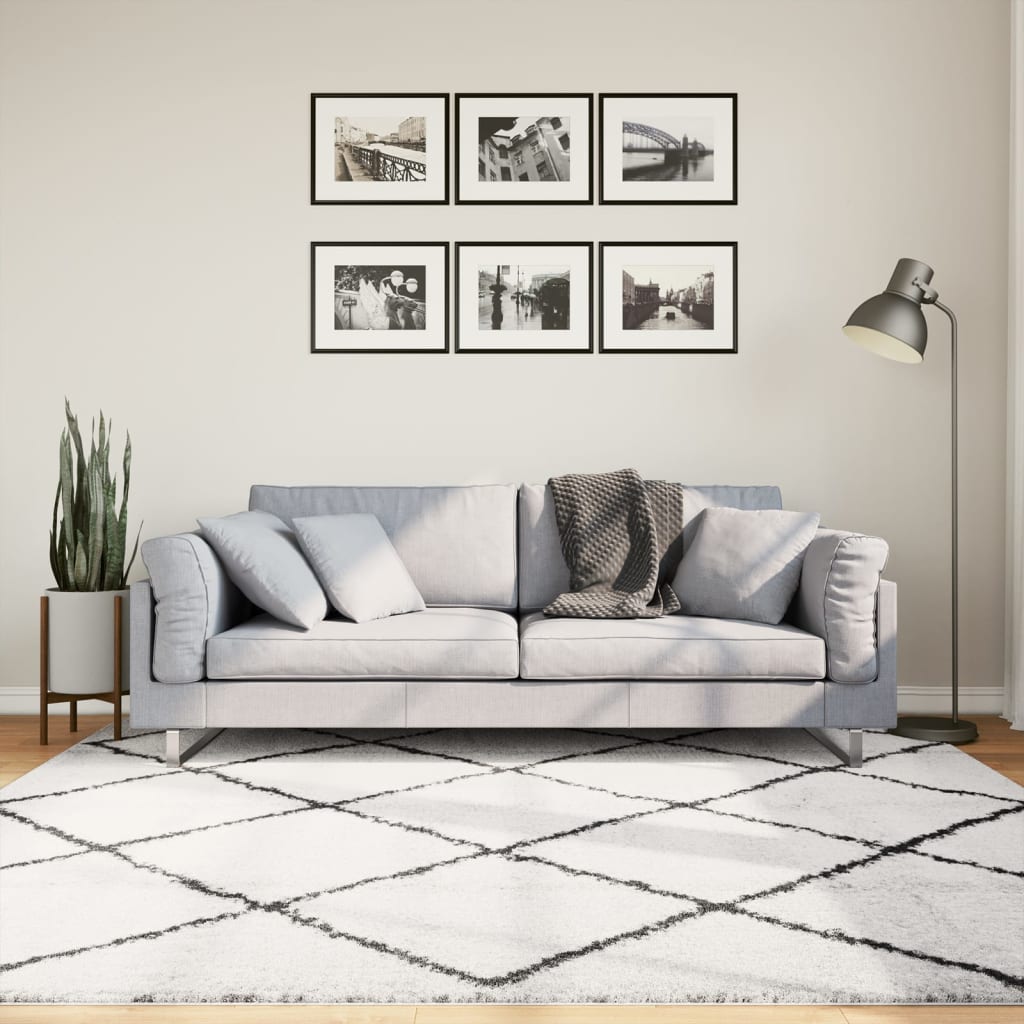 Tappeto Shaggy PAMPLONA a Pelo Lungo Crema e Nero 200x200 cm