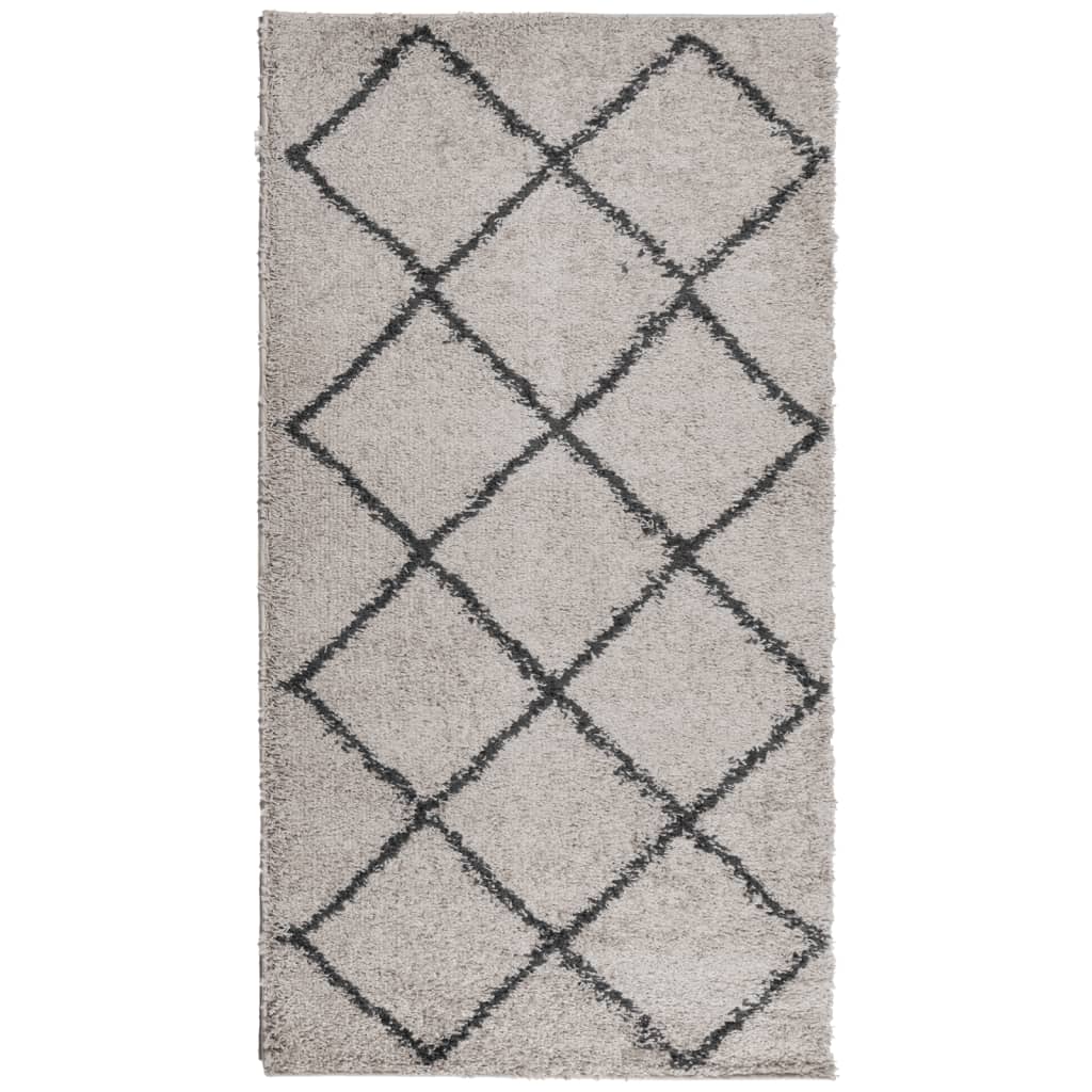 Tappeto Shaggy PAMPLONA a Pelo Lungo Beige e Antracite 60x110cm