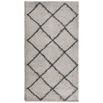 Tappeto Shaggy PAMPLONA a Pelo Lungo Beige e Antracite 60x110cm