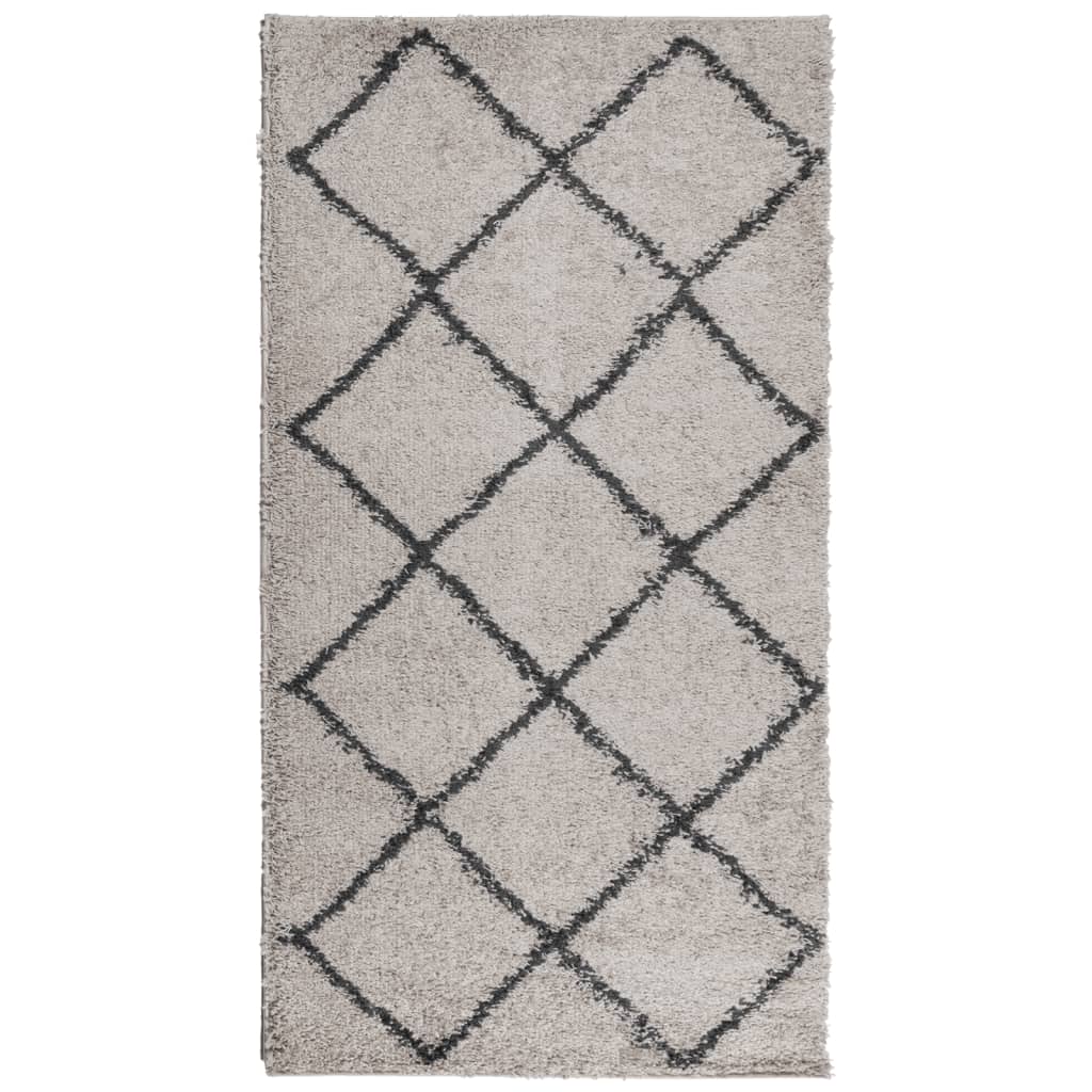 Tappeto Shaggy PAMPLONA a Pelo Lungo Beige e Antracite 80x150cm