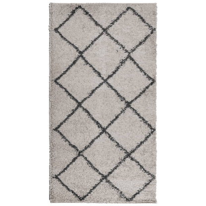 Tappeto Shaggy PAMPLONA a Pelo Lungo Beige e Antracite 80x150cm
