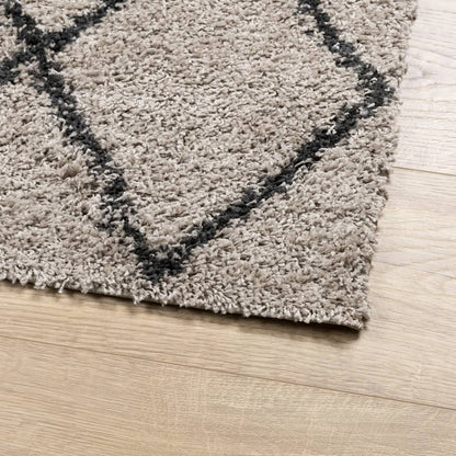 Tappeto Shaggy PAMPLONA a Pelo Lungo Beige e Antracite 80x150cm