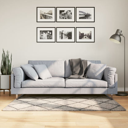 Tappeto Shaggy PAMPLONA a Pelo Lungo Beige e Antracite 80x150cm