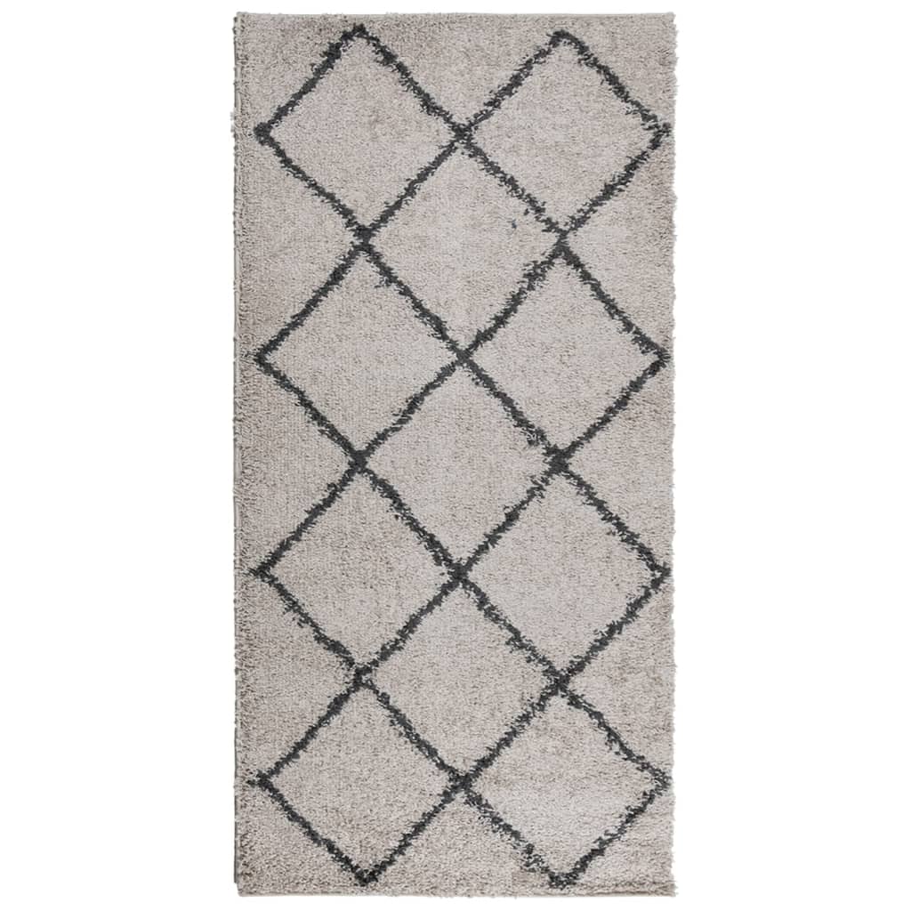 Tappeto Shaggy PAMPLONA Pelo Lungo Beige e Antracite 100x200cm