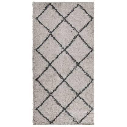 Tappeto Shaggy PAMPLONA Pelo Lungo Beige e Antracite 100x200cm
