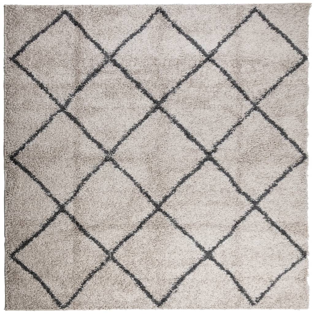 Tappeto Shaggy PAMPLONA Pelo Lungo Beige e Antracite 120x120cm