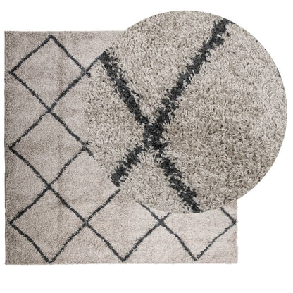 Tappeto Shaggy PAMPLONA Pelo Lungo Beige e Antracite 120x120cm