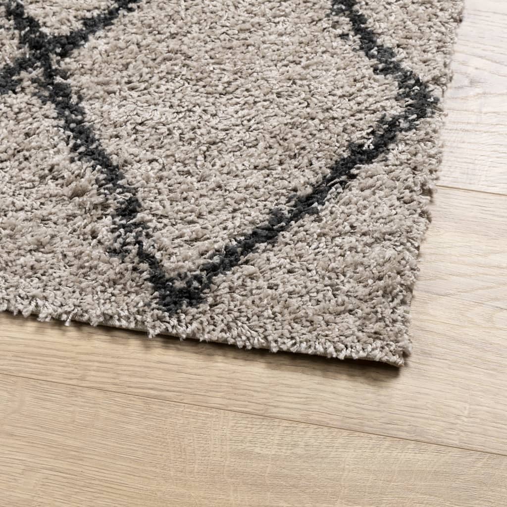 Tappeto Shaggy PAMPLONA Pelo Lungo Beige e Antracite 120x170 cm