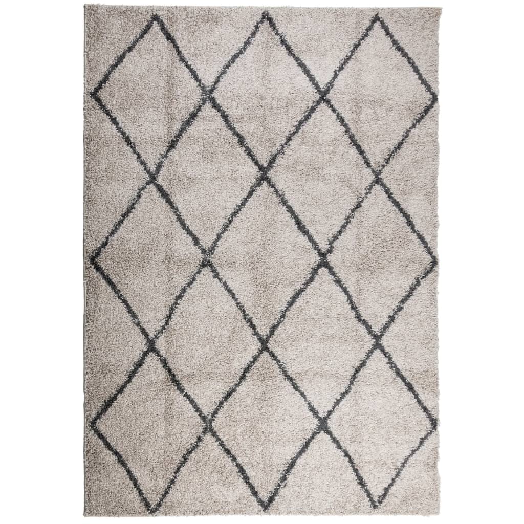 Tappeto Shaggy PAMPLONA Pelo Lungo Beige e Antracite 140x200cm