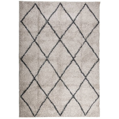 Tappeto Shaggy PAMPLONA Pelo Lungo Beige e Antracite 140x200cm