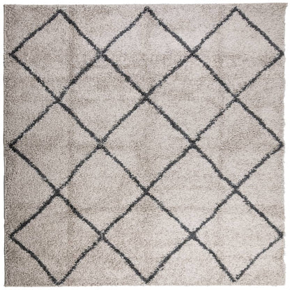 Tappeto Shaggy PAMPLONA Pelo Lungo Beige e Antracite 160x160 cm