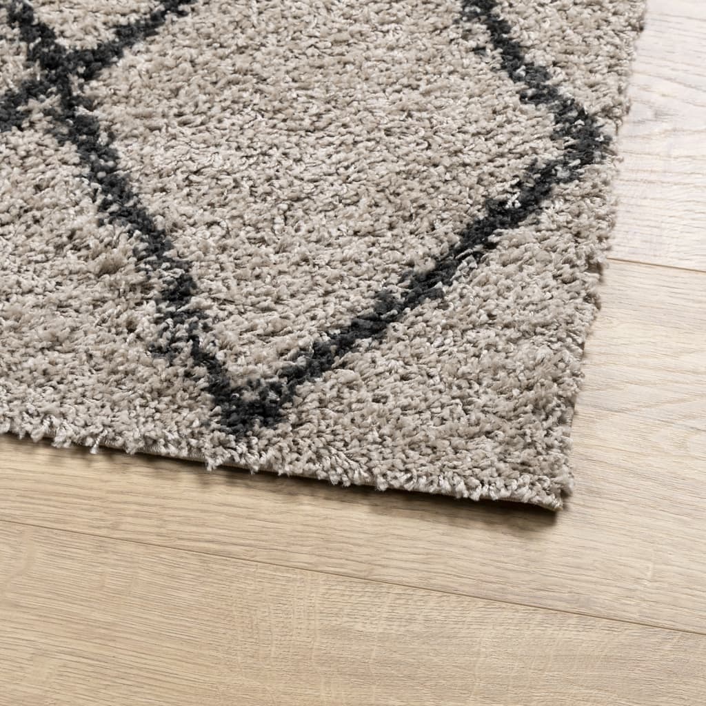 Tappeto Shaggy PAMPLONA Pelo Lungo Beige e Antracite 160x230 cm