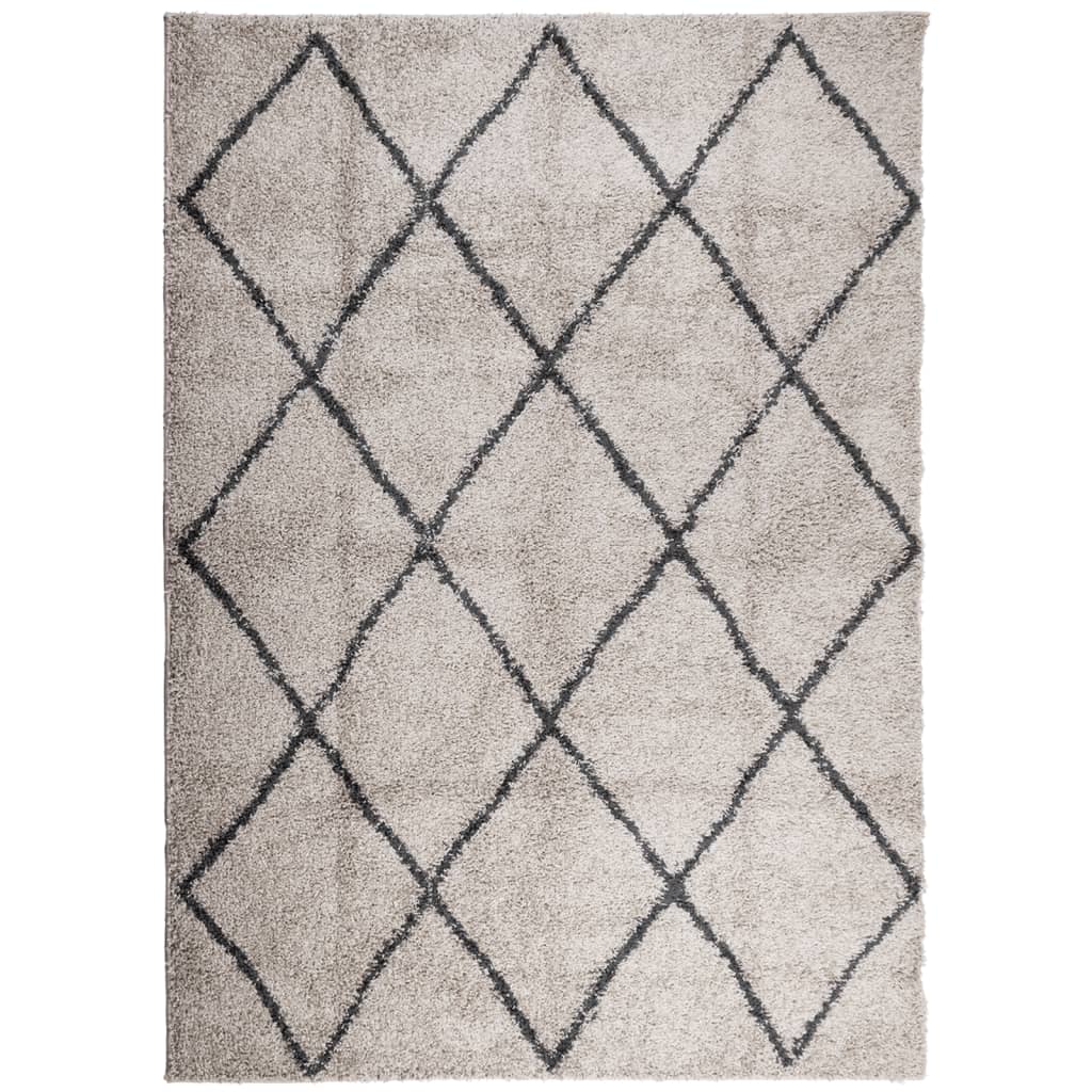 Tappeto Shaggy PAMPLONA Pelo Lungo Beige e Antracite 200x280 cm