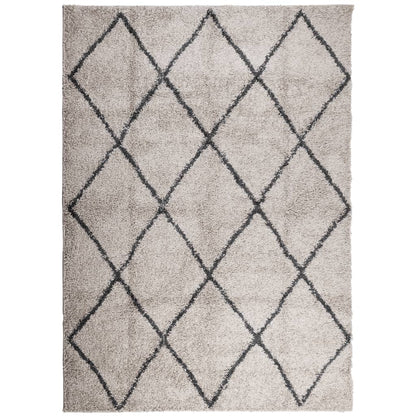 Tappeto Shaggy PAMPLONA Pelo Lungo Beige e Antracite 200x280 cm