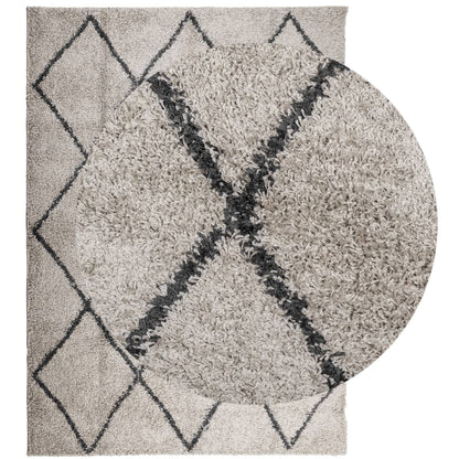 Tappeto Shaggy PAMPLONA Pelo Lungo Beige e Antracite 240x340 cm