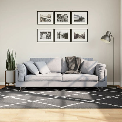 Tappeto Shaggy PAMPLONA a Pelo Lungo Nero e Crema 160x230 cm