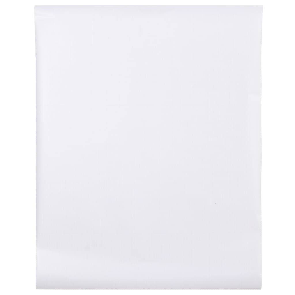 Pellicola per Finestra Smerigliata Trasparente 45x500 cm PVC