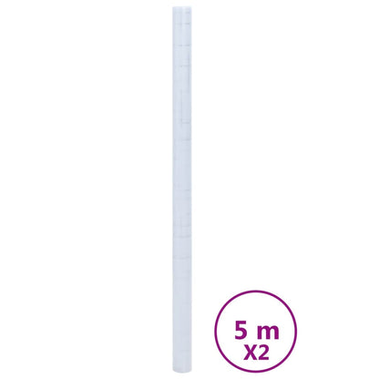 Pellicole per Finestre Smerigliate 2pz Motivo Stella in PVC