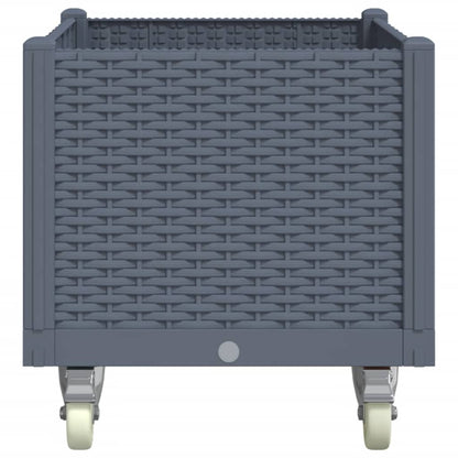 Fioriera da Giardino con Ruote Grigio Blu 80x50x54 cm in PP