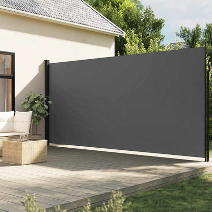Tenda da sole laterale retrattile antracite 220x300 cm