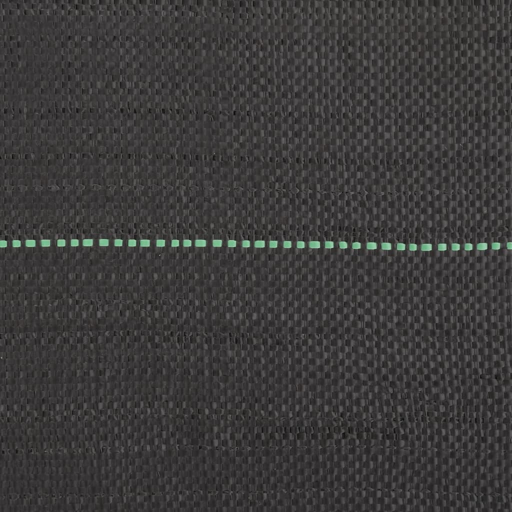 Membrana Antierbacce Nera 1x25 m in PP