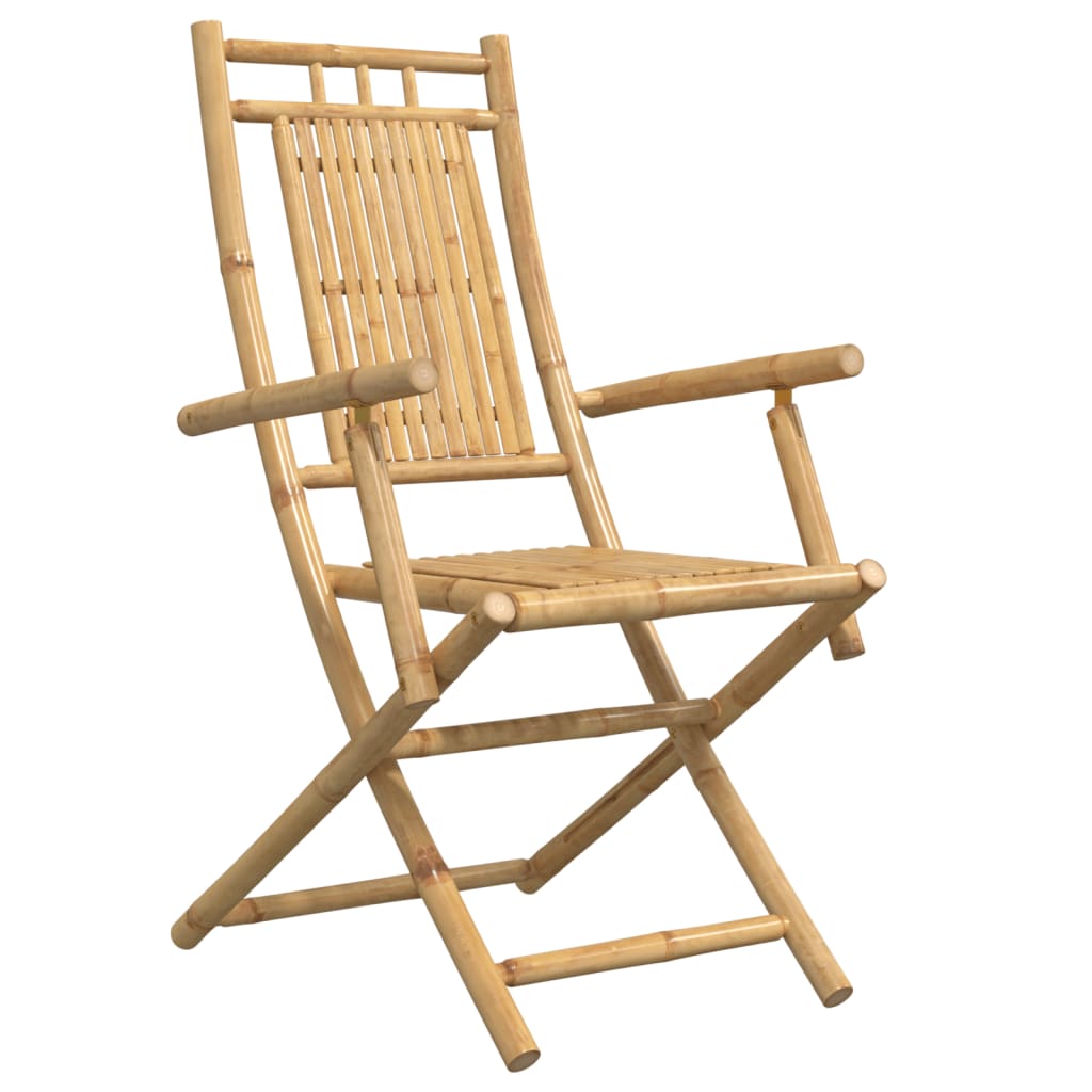 Sedie da Giardino Pieghevoli 4 pz 53x66x99 cm in BambÃ¹