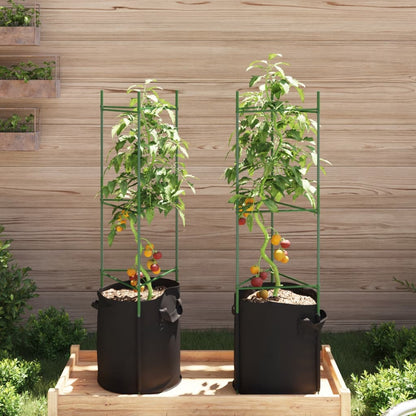 Sostegno Pomodori con Sacchetto Piante 2pz 116 cm Acciaio e PP