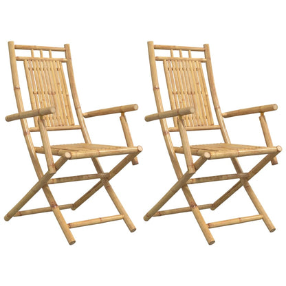 Sedie da Giardino Pieghevoli 2 pz 53x66x99 cm in BambÃ¹