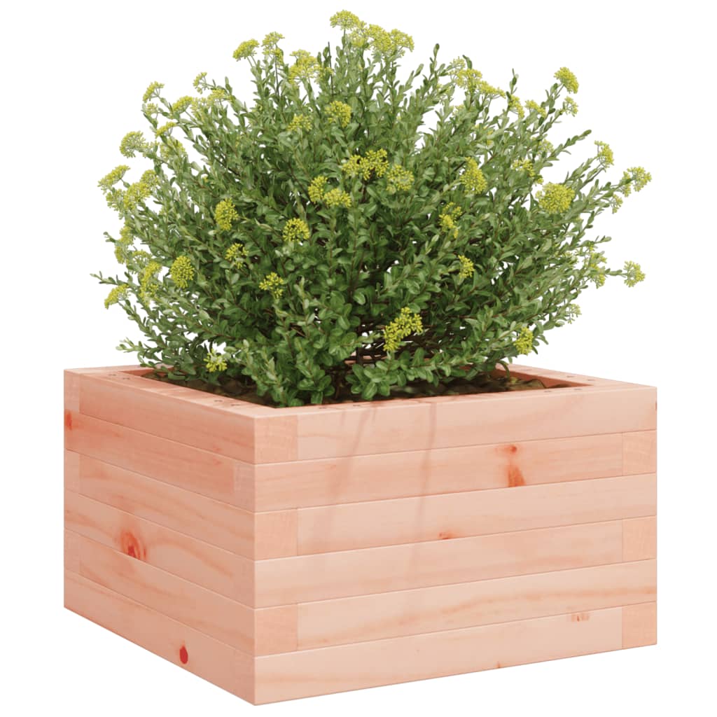 Fioriera da Giardino 40x40x23 cm in Legno Massello di Douglas