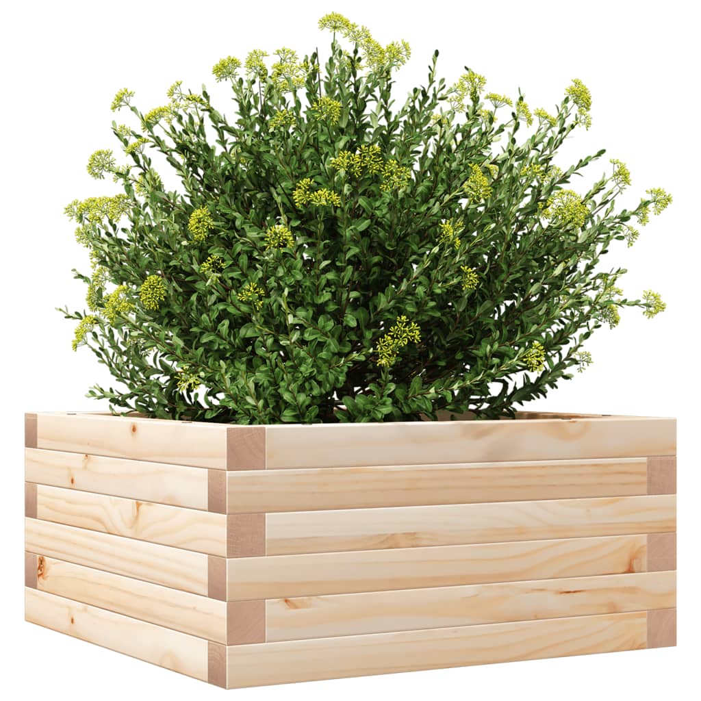 Fioriera da Giardino 50x50x23 cm in Legno Massello di Pino