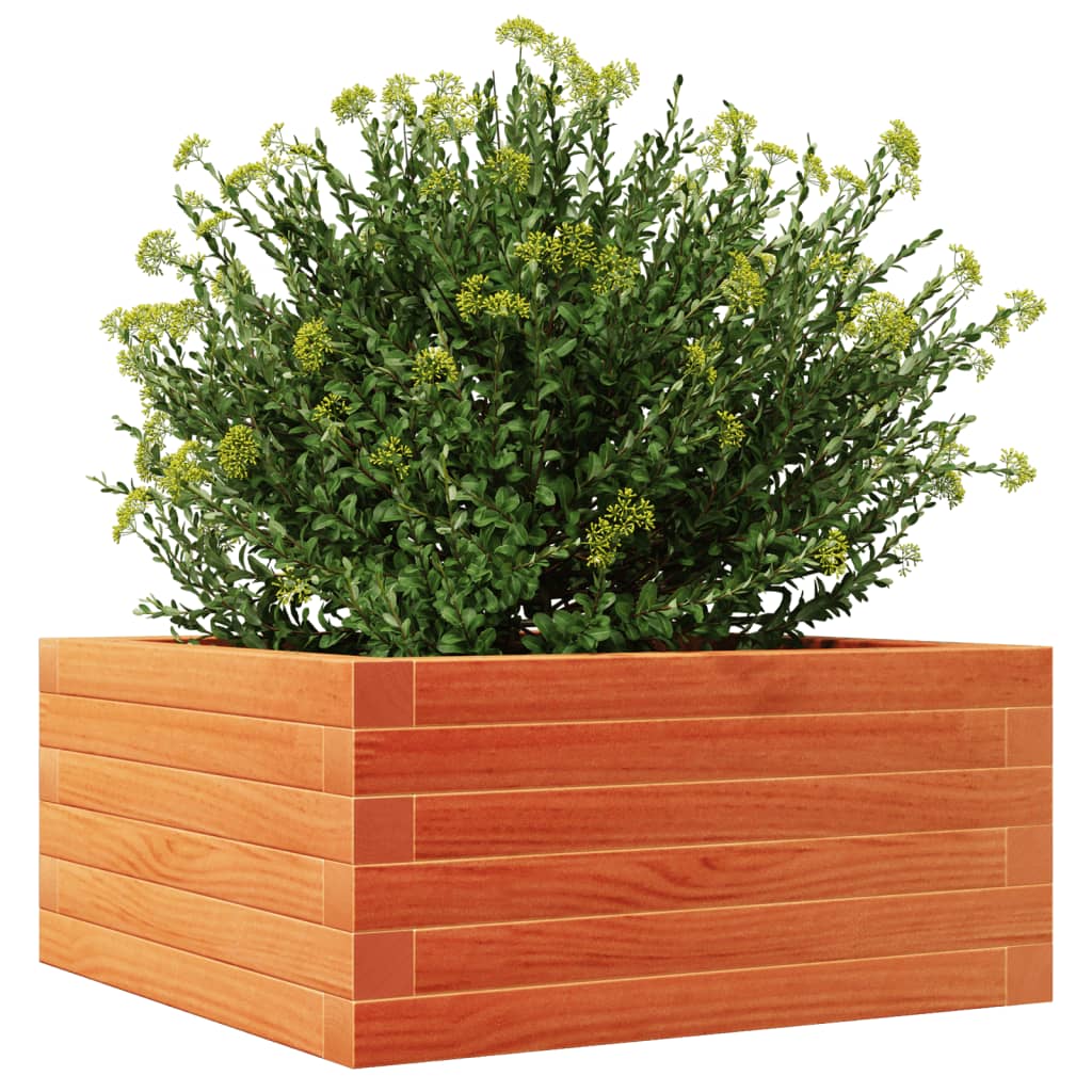Fioriera Giardino Marrone Cera 50x50x23 cm Legno Massello Pino